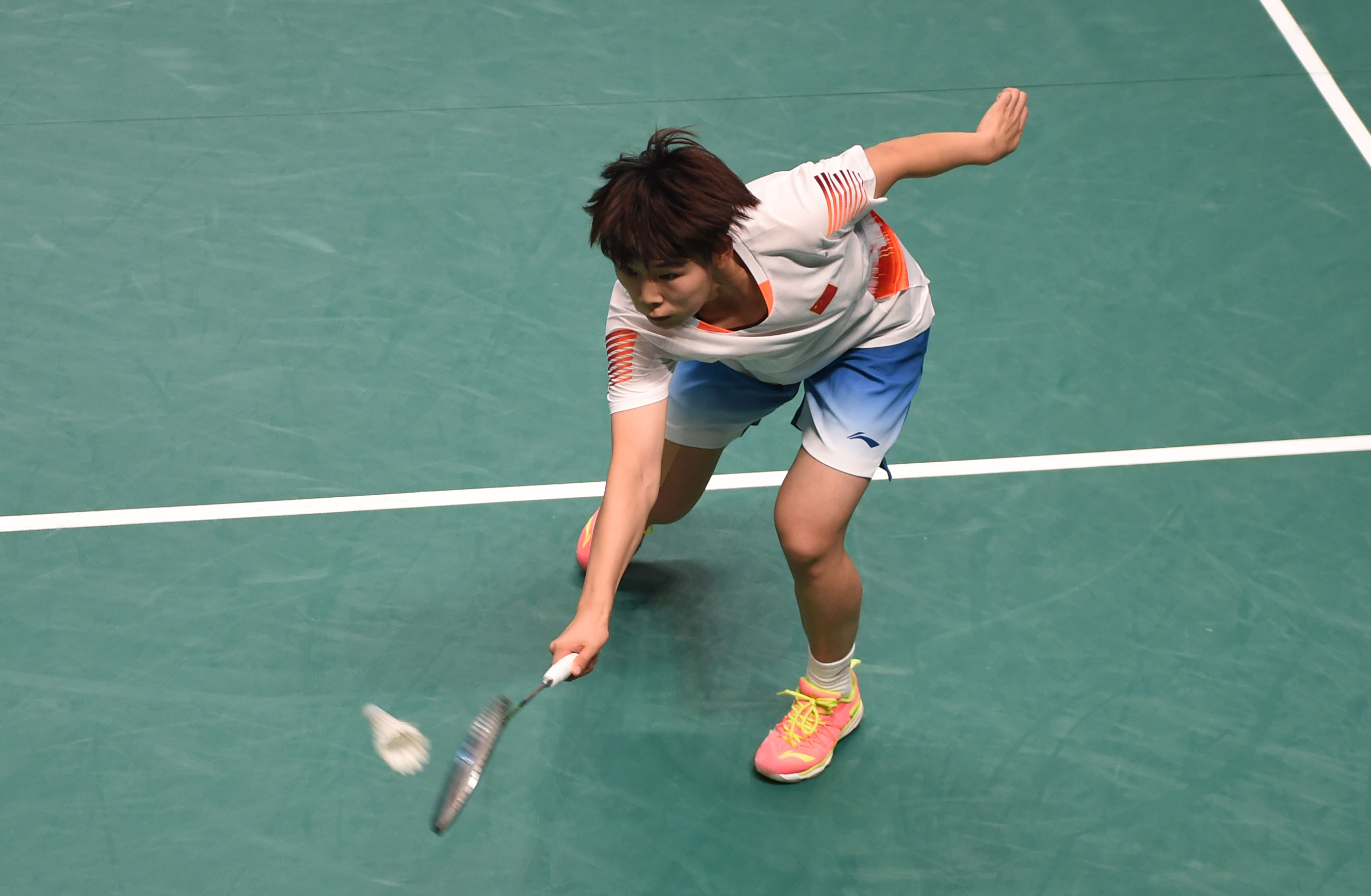 球迷带来了 球迷带来了